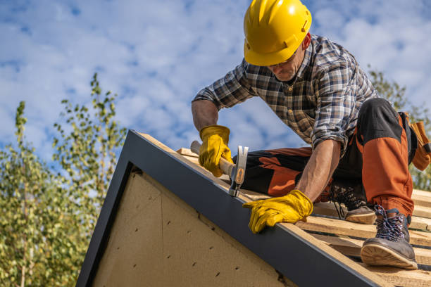 Best Metal Roofing Installation  in Coal Grove, OH